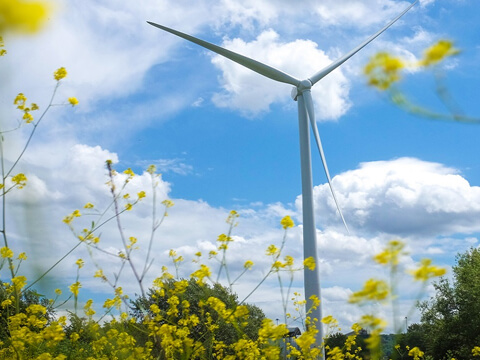 Thrive Renewables portfolio image
